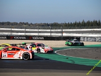 VLN-NLS-2021-00133