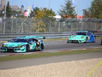 VLN-NLS-2021-00197
