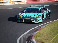 VLN-NLS-2021-00304