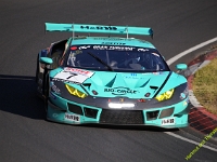 VLN-NLS-2021-00305