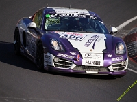 VLN-NLS-2021-00312