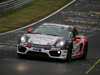 VLN-9-2023-00115