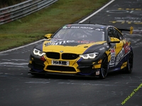 VLN-9-2023-00123