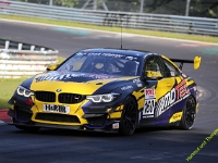 VLN-9-2023-00282