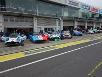 VLN-9-2025-031