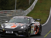 VLN-9-2025-119