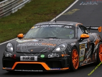VLN-9-2025-173
