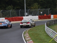 VLN-9-2025-174