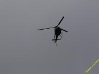 VLN-9-2025-217