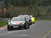 VLN-9-2025-279