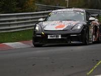 VLN-9-2025-295