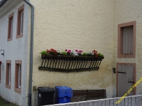 Wolsfeld 2019 0015