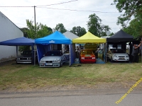 Wolsfeld 2019 0099