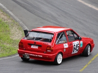 Wolsfeld 2019 0242