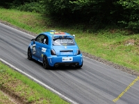 Wolsfeld 2019 0267