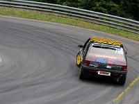 Wolsfeld 2019 0286