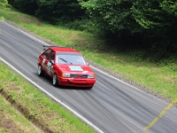 Wolsfeld 2019 0291
