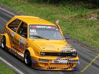 Wolsfeld 2019 0331