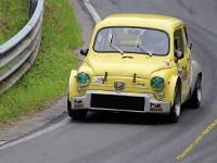 Wolsfeld 2019 0381