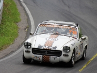 Wolsfeld 2019 0382