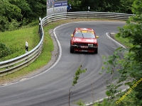 Wolsfeld 2019 0391