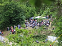 Wolsfeld 2019 0392