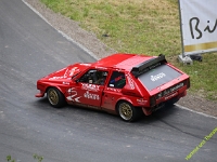 Wolsfeld-2022-00087