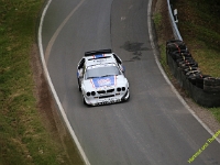Wolsfeld-2022-00089