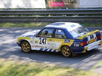 Wolsfeld-2023-00064