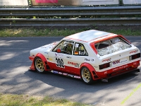 Wolsfeld-2023-00073