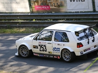 Wolsfeld-2023-00074