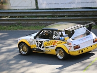 Wolsfeld-2023-00078