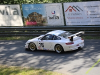 Wolsfeld-2023-00081