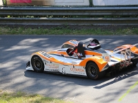 Wolsfeld-2023-00091