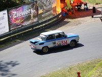 Wolsfeld-2023-00202