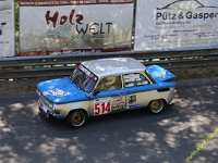 Wolsfeld-2023-00204