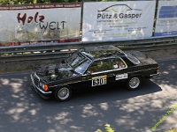 Wolsfeld-2023-00219