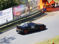Wolsfeld-2023-00220