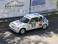 Wolsfeld-2023-00225
