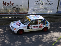Wolsfeld-2023-00246