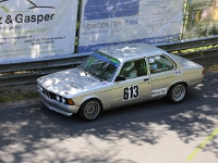 Wolsfeld-2023-00254