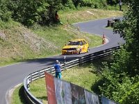 Wolsfeld-2023-00273