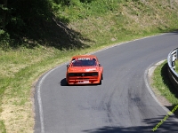 Wolsfeld-2023-00277