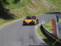 Wolsfeld-2023-00286