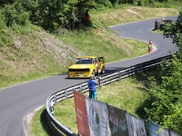 Wolsfeld-2023-00312