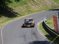 Wolsfeld-2023-00315