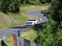 Wolsfeld-2023-00324