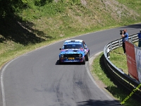 Wolsfeld-2023-00336