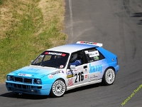 Wolsfeld-2023-00339